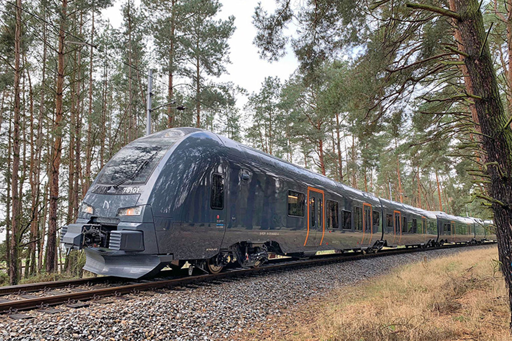 Et tog kjører på jernbaneskinner som går gjennom en furuskog.